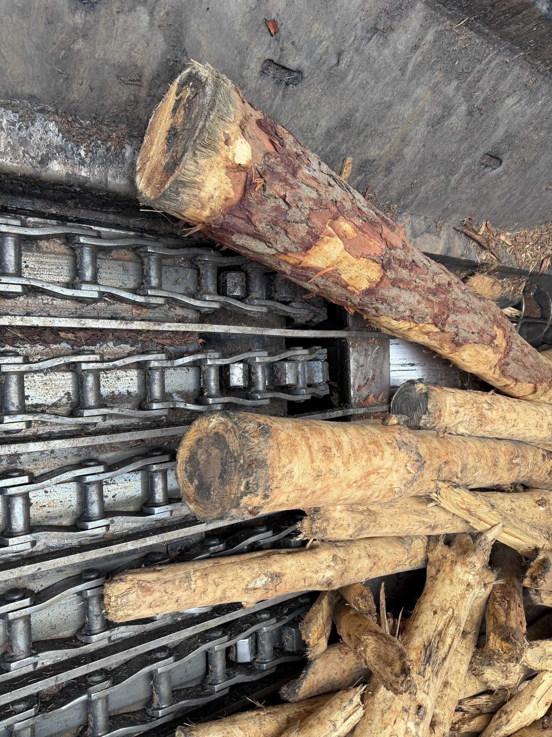 Timber Chain - Image 3