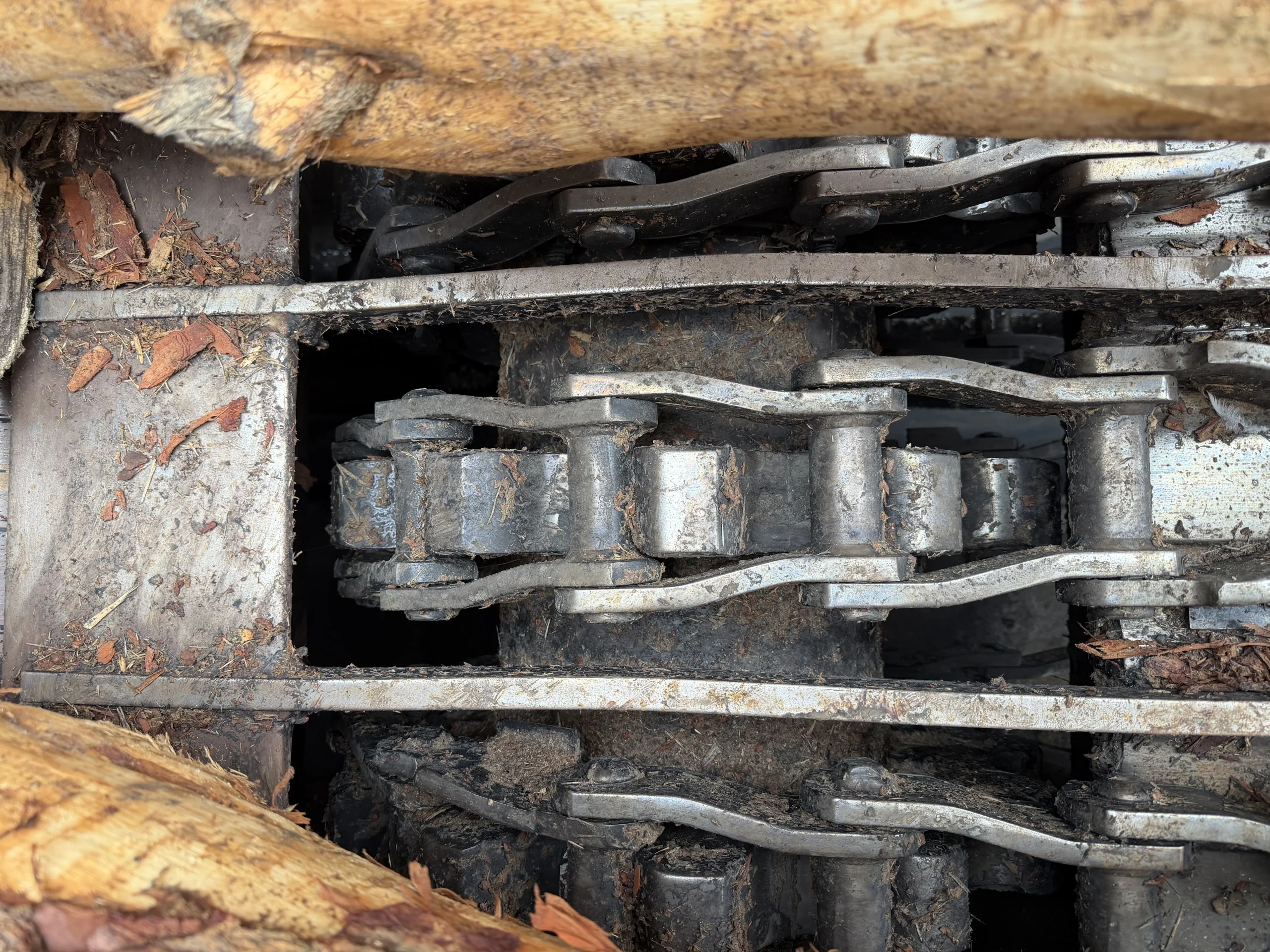 Timber Chain